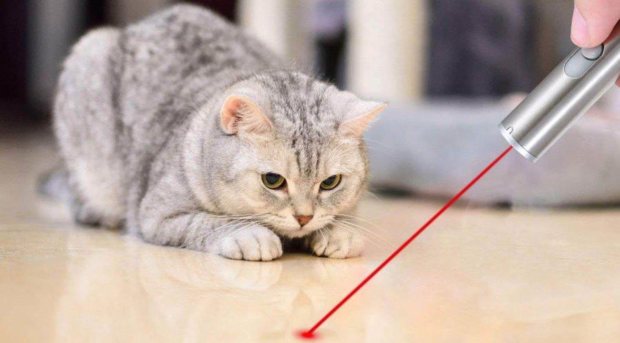 Usb ricaricabile Puntatore laser Giocattolo interattivo per gatti