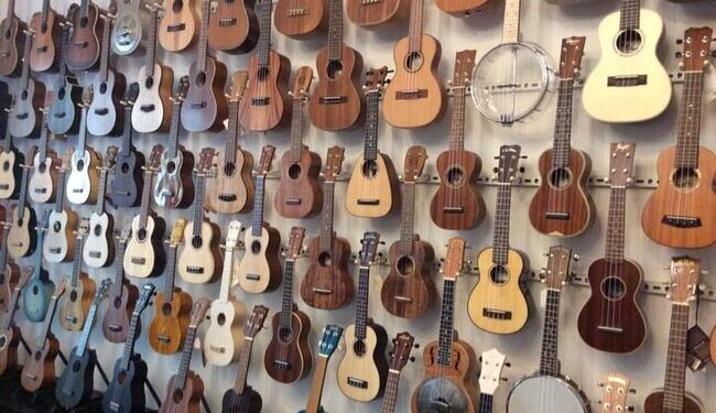parete di ukulele per iniziare su qualita prezzo